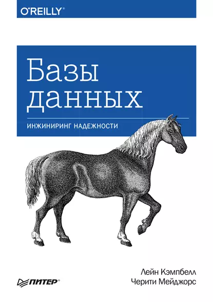 Базы данных. Инжиниринг надежности (EBook, Russian language, 2020, Питер)