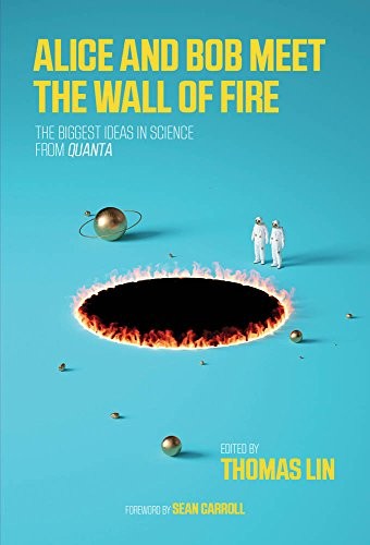 Alice and Bob Meet the Wall of Fire (Paperback, 2018, The MIT Press)