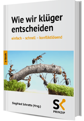 Wie wir klüger entscheiden (EBook, German language, Styria Printshop Druck GmbH)