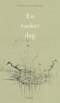 En vacker dag (Hardcover, Svenska language, Weyler)