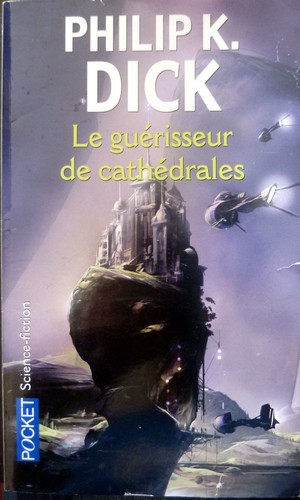 Le guérisseur de cathédrales (Paperback, French language, 2006, Pocket)