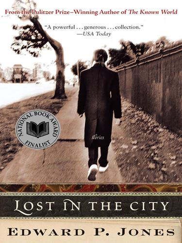 Lost in the City (EBook, 2006, HarperCollins)