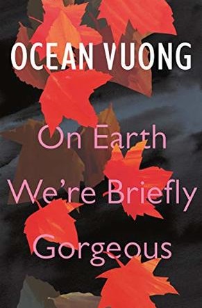 On Earth We're Briefly Gorgeous (Hardcover, 2019, Jonathan Cape)