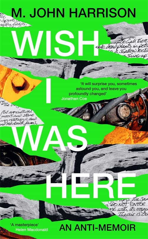 Wish I Was Here (Hardcover, 2023, Serpent's Tail Limited)